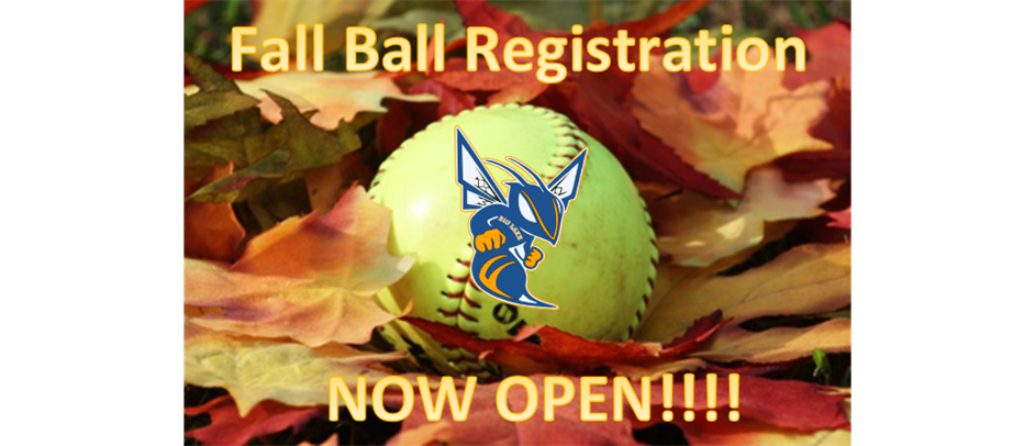 FALL BALL REGISTRATION NOW OPEN!